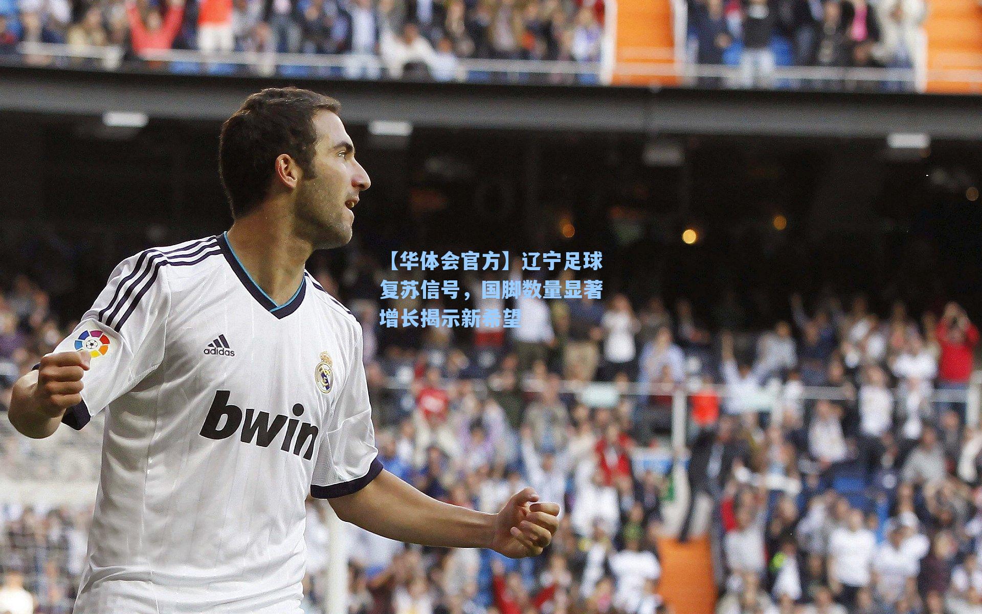 【华体会官方】辽宁足球复苏信号，国脚数量显著增长揭示新希望