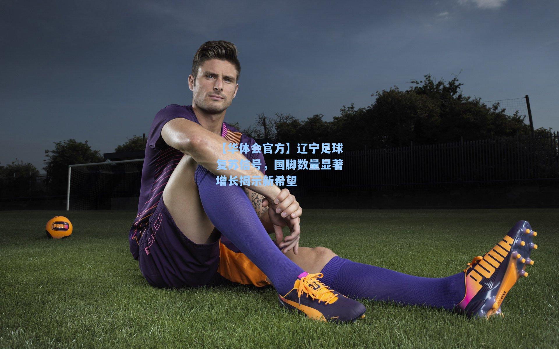 辽宁足球复苏信号，国脚数量显著增长揭示新希望